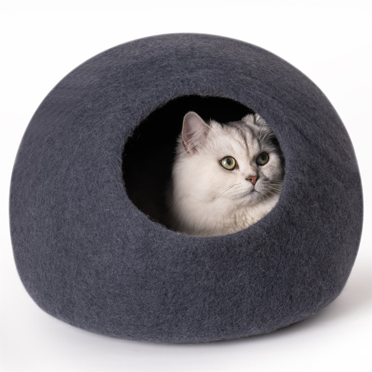 Toy 2025 cat bed